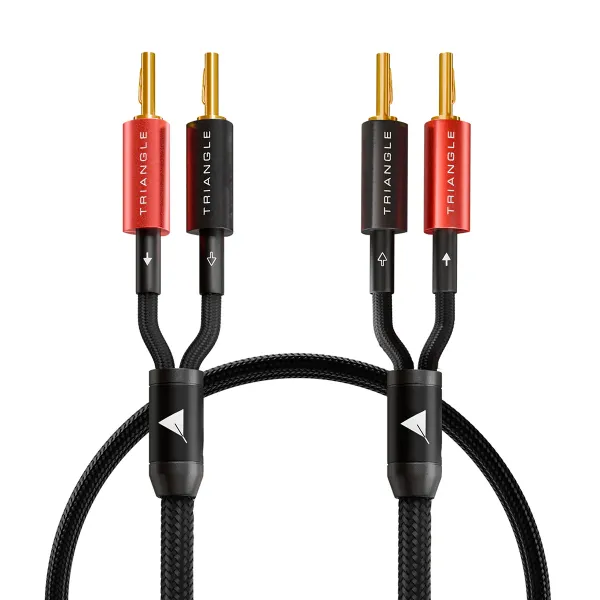 Black Serie MS25 - 2m50