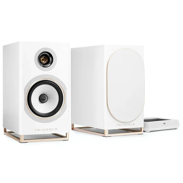 Capella 2 - 2 Ways, Class-D Bi-Amping 2 x 50W