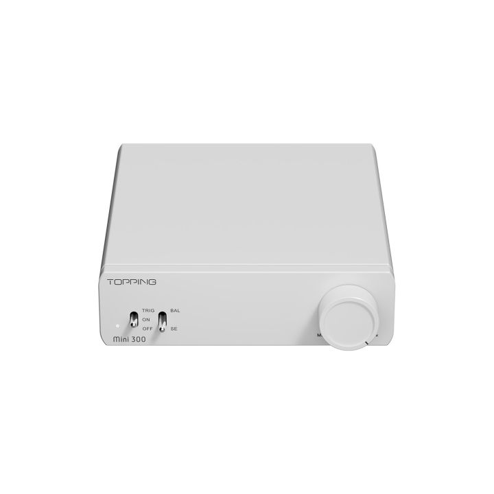 Mini 300 Silber