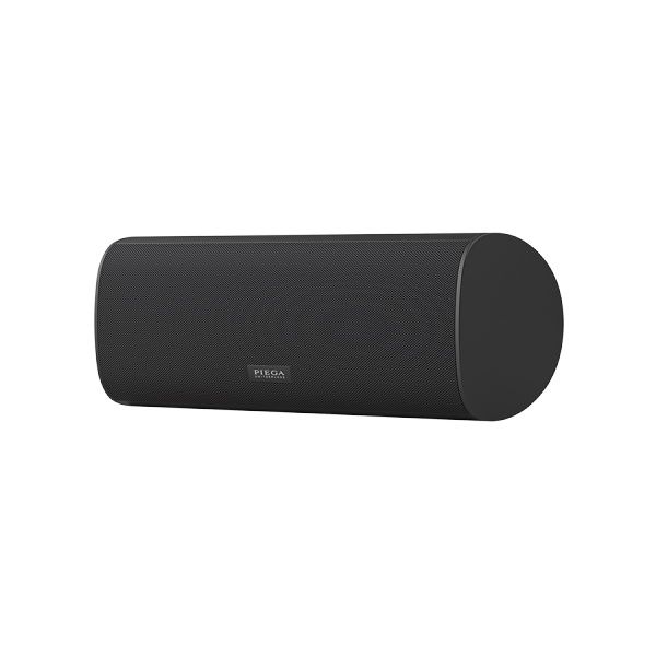 Ace Center Wireless - 2 Wege, 100 Watts